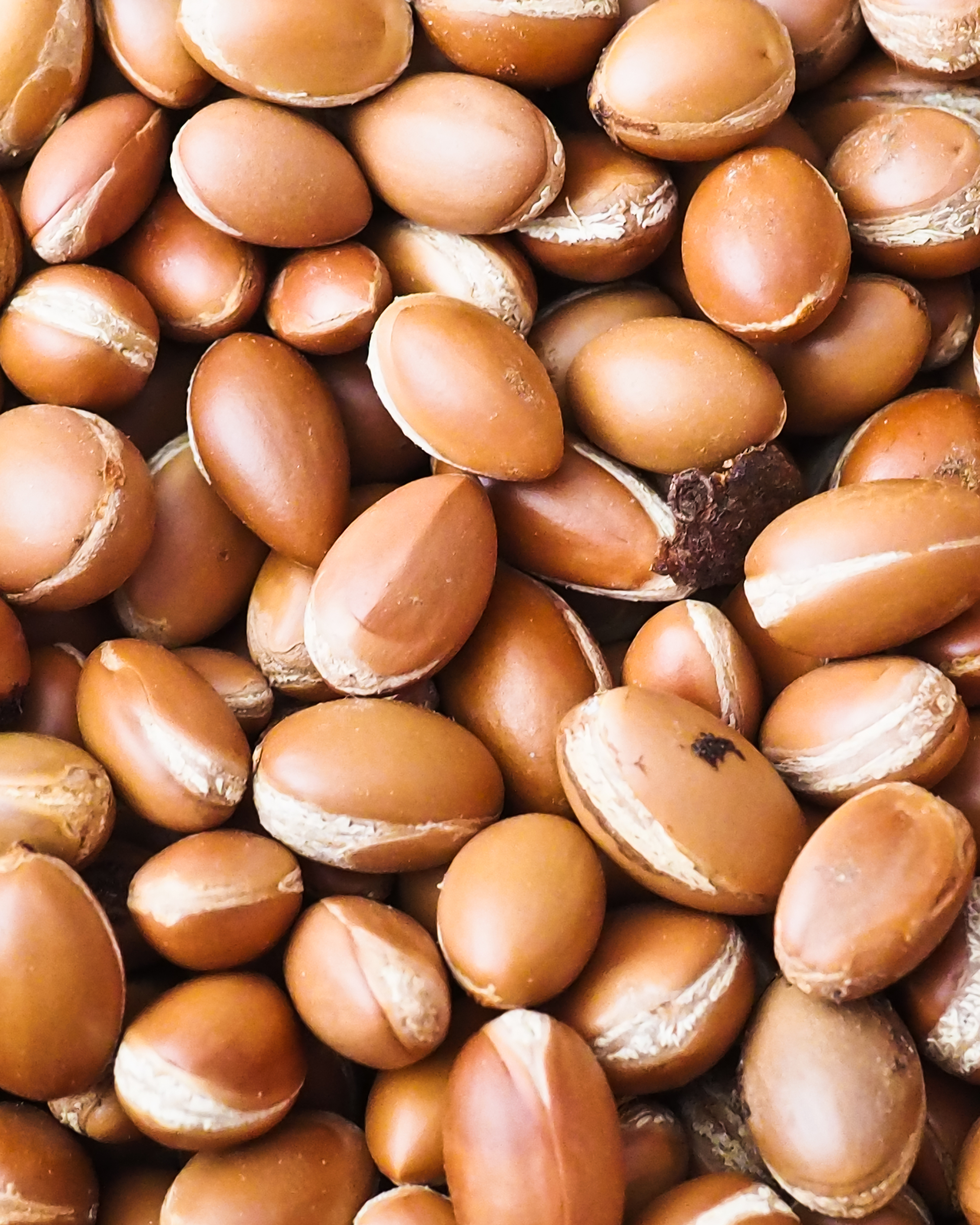 Hair Repair Conditioner