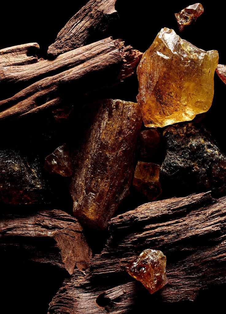 Hand & Body Lotion Infinite Amber