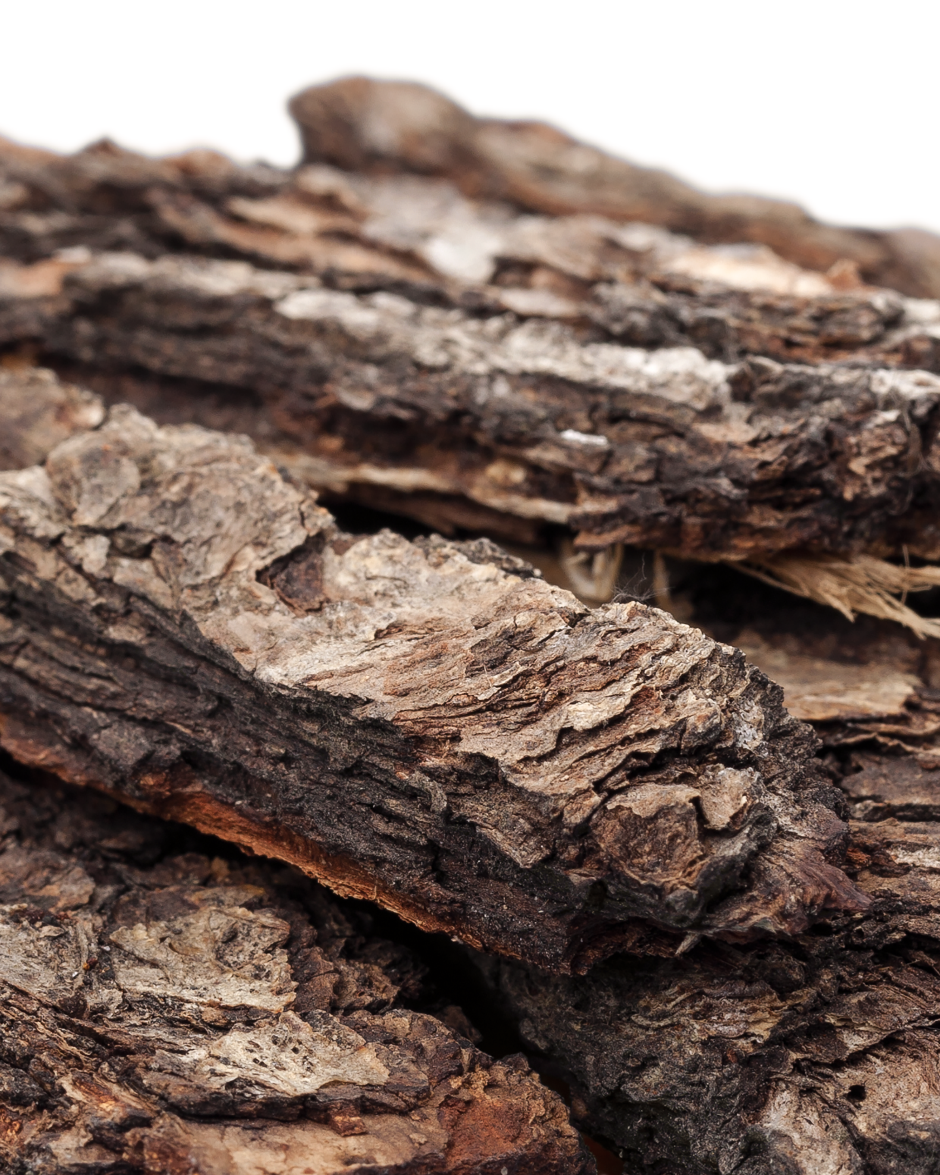 Hand & Body Lotion Luminous Petals