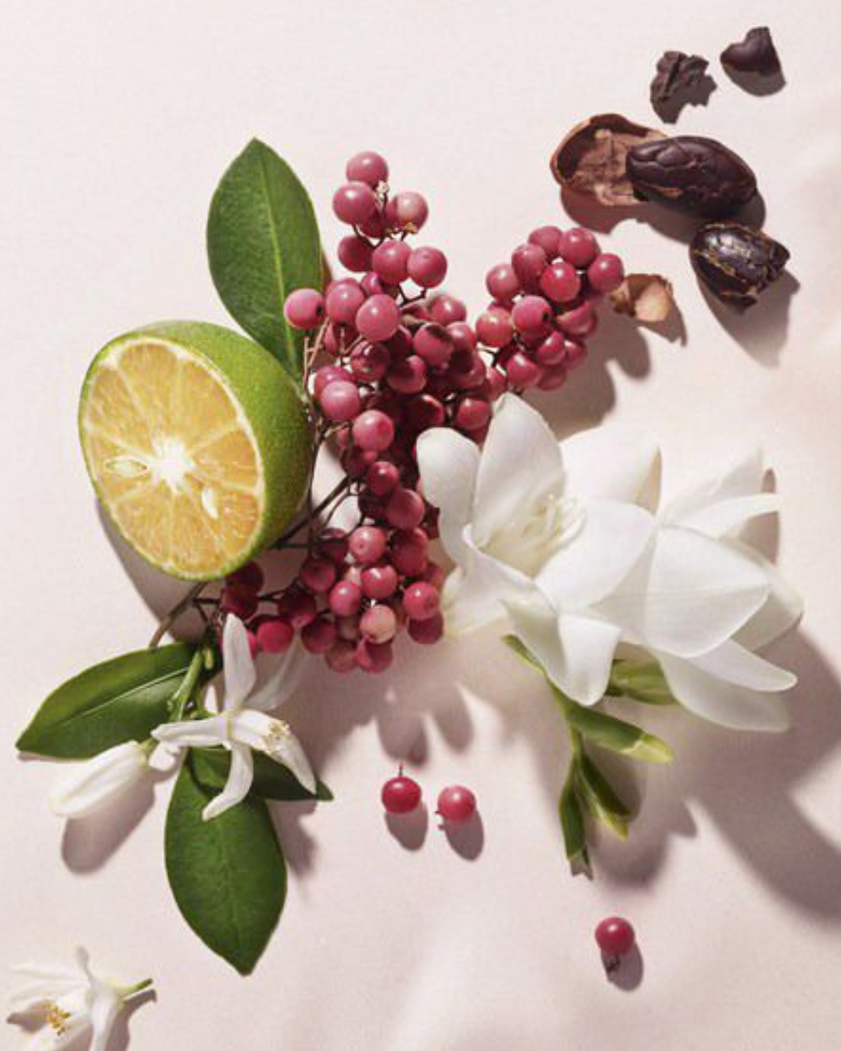 Hand & Body Lotion Luminous Petals