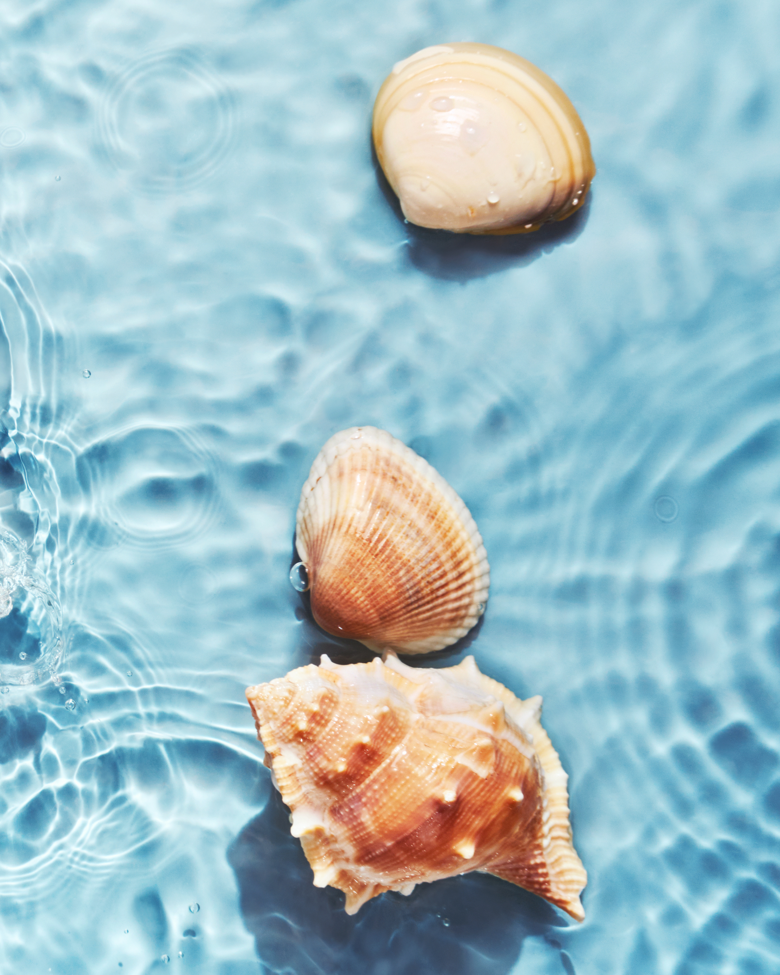 Hand & Body Lotion Aqua Flora