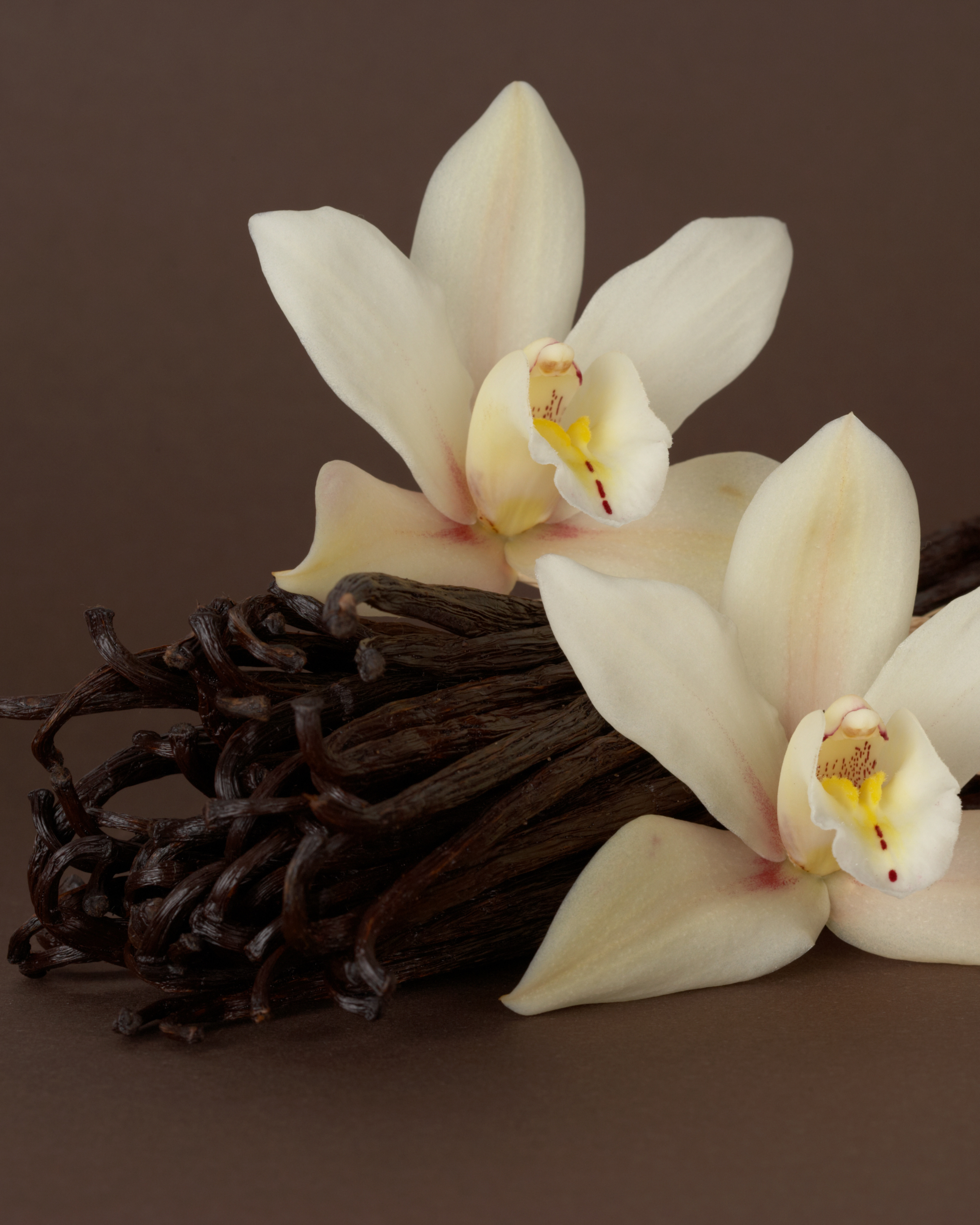 Hand & Body Lotion Infinite Amber