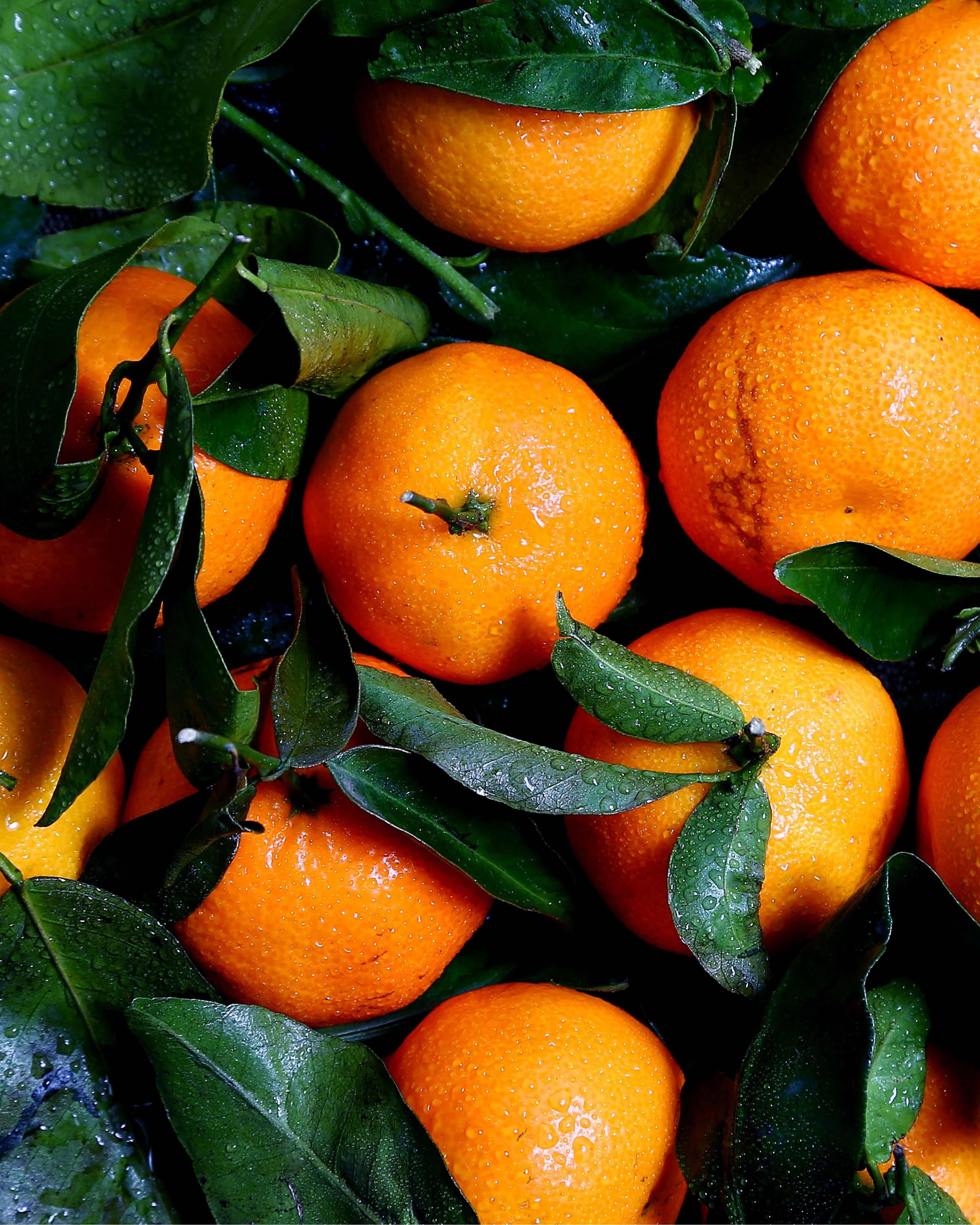 Hand & Body Lotion Executive Edge